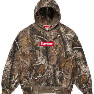 Supreme Box Logo Hooded Sweatshirt Realtree AP Camo